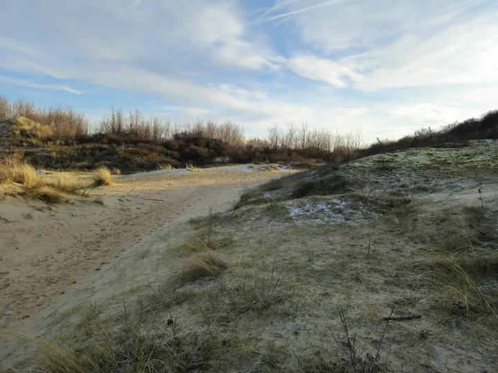 Oostnieuwkerke duinen wandeling in de koude (België)